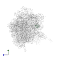 Large ribosomal subunit protein uL30 in PDB entry 5a9z, assembly 1, side view.