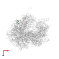 Large ribosomal subunit protein uL30 in PDB entry 5a9z, assembly 1, top view.