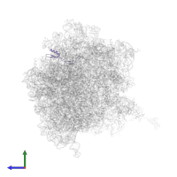 Large ribosomal subunit protein bL31 in PDB entry 5a9z, assembly 1, side view.