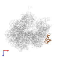 Small ribosomal subunit protein uS2 in PDB entry 5a9z, assembly 1, top view.