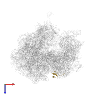 Small ribosomal subunit protein bS6 in PDB entry 5a9z, assembly 1, top view.