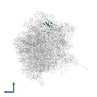 Small ribosomal subunit protein uS9 in PDB entry 5a9z, assembly 1, side view.