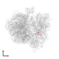 Small ribosomal subunit protein uS12 in PDB entry 5a9z, assembly 1, front view.