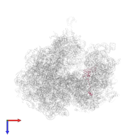 Small ribosomal subunit protein uS12 in PDB entry 5a9z, assembly 1, top view.