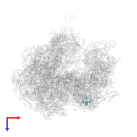 Small ribosomal subunit protein bS18 in PDB entry 5a9z, assembly 1, top view.