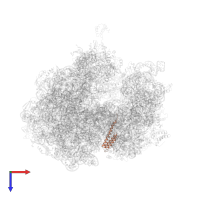 Small ribosomal subunit protein bS20 in PDB entry 5a9z, assembly 1, top view.