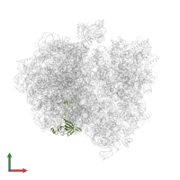 Large ribosomal subunit protein uL3 in PDB entry 5a9z, assembly 1, front view.