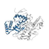 The deposited structure of PDB entry 5adl contains 2 copies of CATH domain 3.90.340.10 (Nitric Oxide Synthase; Chain A, domain 1) in Nitric oxide synthase 3. Showing 1 copy in chain A.