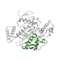 The deposited structure of PDB entry 5adl contains 2 copies of CATH domain 3.90.440.10 (Nitric Oxide Synthase;Heme Domain; Chain A, domain 2) in Nitric oxide synthase 3. Showing 1 copy in chain A.