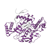 The deposited structure of PDB entry 5adl contains 2 copies of Pfam domain PF02898 (Nitric oxide synthase, oxygenase domain) in Nitric oxide synthase 3. Showing 1 copy in chain A.