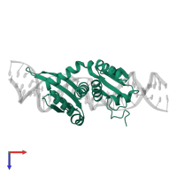 Homing endonuclease I-DmoI in PDB entry 5ak9, assembly 3, top view.