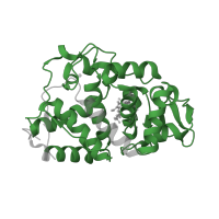 The deposited structure of PDB entry 5amm contains 2 copies of Pfam domain PF00141 (Peroxidase) in Cytochrome c peroxidase, mitochondrial. Showing 1 copy in chain A.