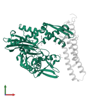 Heat shock cognate 71 kDa protein in PDB entry 5aqt, assembly 1, front view.