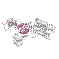 The deposited structure of PDB entry 5avz contains 1 copy of Pfam domain PF00702 (haloacid dehalogenase-like hydrolase) in Sodium/potassium-transporting ATPase subunit alpha. Showing 1 copy in chain A.