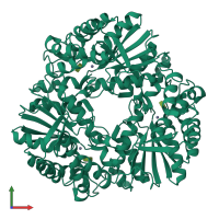 Homo trimeric assembly 1 of PDB entry 5b2f coloured by chemically distinct molecules, front view.