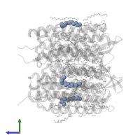 TRIDECANE in PDB entry 5b6w, assembly 1, side view.