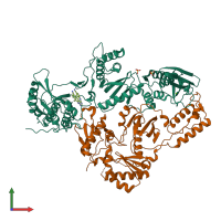 Hetero dimeric assembly 1 of PDB entry 5c25 coloured by chemically distinct molecules, front view.