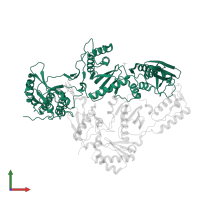 Reverse transcriptase/ribonuclease H in PDB entry 5c25, assembly 1, front view.