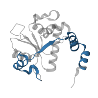 The deposited structure of PDB entry 5cdr contains 2 copies of Pfam domain PF00986 (DNA gyrase B subunit, carboxyl terminus) in DNA gyrase subunit B. Showing 1 copy in chain B.