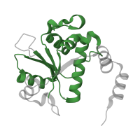 The deposited structure of PDB entry 5cdr contains 2 copies of Pfam domain PF01751 (Toprim domain) in DNA gyrase subunit B. Showing 1 copy in chain B.