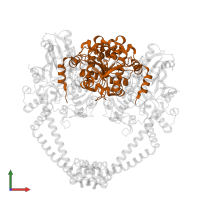 DNA gyrase subunit B in PDB entry 5cdr, assembly 1, front view.