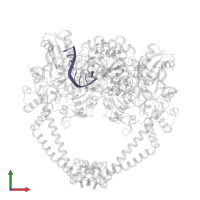 DNA (5'-D(*AP*GP*CP*CP*GP*TP*AP*)-3') in PDB entry 5cdr, assembly 1, front view.