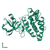 Mitogen-activated protein kinase kinase kinase 12 in PDB entry 5cep, assembly 1, front view.