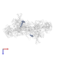 ISOBUTYRYL-COENZYME A in PDB entry 5cjt, assembly 1, top view.