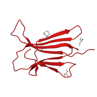 The deposited structure of PDB entry 5cka contains 1 copy of CATH domain 2.60.40.10 (Immunoglobulin-like) in Beta-2-microglobulin. Showing 1 copy in chain A.