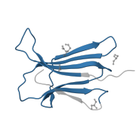 The deposited structure of PDB entry 5cka contains 1 copy of Pfam domain PF07654 (Immunoglobulin C1-set domain) in Beta-2-microglobulin. Showing 1 copy in chain A.