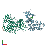 PDB entry 5clp coloured by chain, front view.