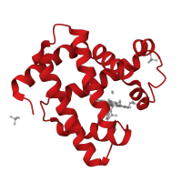 The deposited structure of PDB entry 5cnb contains 1 copy of CATH domain 1.10.490.10 (Globin-like) in Myoglobin. Showing 1 copy in chain A.