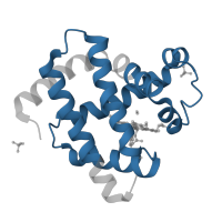 The deposited structure of PDB entry 5cnb contains 1 copy of Pfam domain PF00042 (Globin) in Myoglobin. Showing 1 copy in chain A.