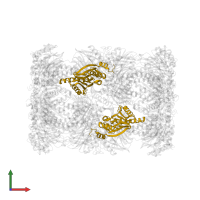 Proteasome subunit beta type-5 in PDB entry 5cz8, assembly 1, front view.