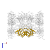 Proteasome subunit beta type-5 in PDB entry 5cz8, assembly 1, top view.