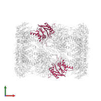 Proteasome subunit beta type-6 in PDB entry 5cz8, assembly 1, front view.