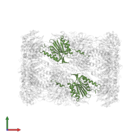 Proteasome subunit beta type-7 in PDB entry 5cz8, assembly 1, front view.