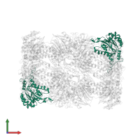 Proteasome subunit alpha type-2 in PDB entry 5cz8, assembly 1, front view.