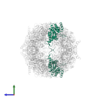 Proteasome subunit alpha type-2 in PDB entry 5cz8, assembly 1, side view.