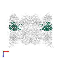 Proteasome subunit alpha type-2 in PDB entry 5cz8, assembly 1, top view.