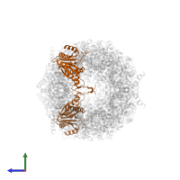 Proteasome subunit alpha type-3 in PDB entry 5cz8, assembly 1, side view.