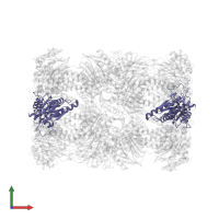 Proteasome subunit alpha type-4 in PDB entry 5cz8, assembly 1, front view.