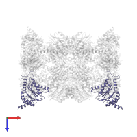 Proteasome subunit alpha type-4 in PDB entry 5cz8, assembly 1, top view.