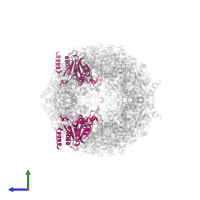 Proteasome subunit alpha type-5 in PDB entry 5cz8, assembly 1, side view.