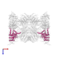Proteasome subunit alpha type-5 in PDB entry 5cz8, assembly 1, top view.