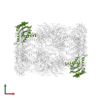 Proteasome subunit alpha type-6 in PDB entry 5cz8, assembly 1, front view.