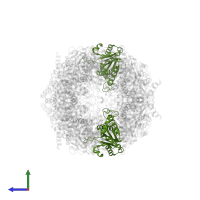 Proteasome subunit alpha type-6 in PDB entry 5cz8, assembly 1, side view.