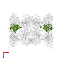 Proteasome subunit alpha type-6 in PDB entry 5cz8, assembly 1, top view.