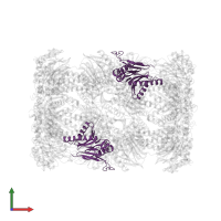 Proteasome subunit beta type-2 in PDB entry 5cz8, assembly 1, front view.