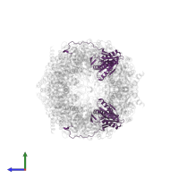 Proteasome subunit beta type-2 in PDB entry 5cz8, assembly 1, side view.